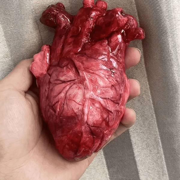 Silicone mold for realistic human heart replica with anatomical veins and detail, for resin casting