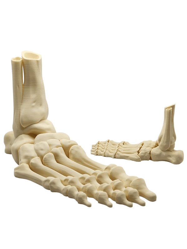 Making a realistic skeleton foot with white silicone mold – 5.91 in long – for resin, plaster, soap, candle casting