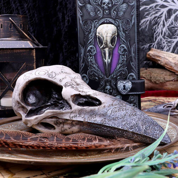 Large Raven Skull Resin, plaster, candle, soap mold