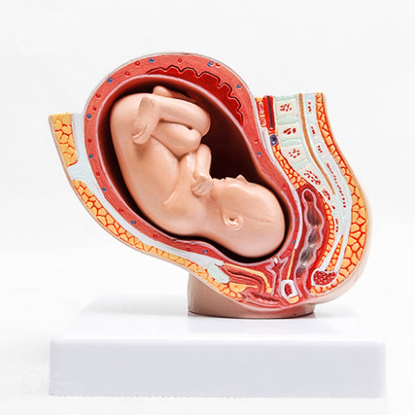 Pregnant woman silicone mold Resin, plaster, soap, candle mold