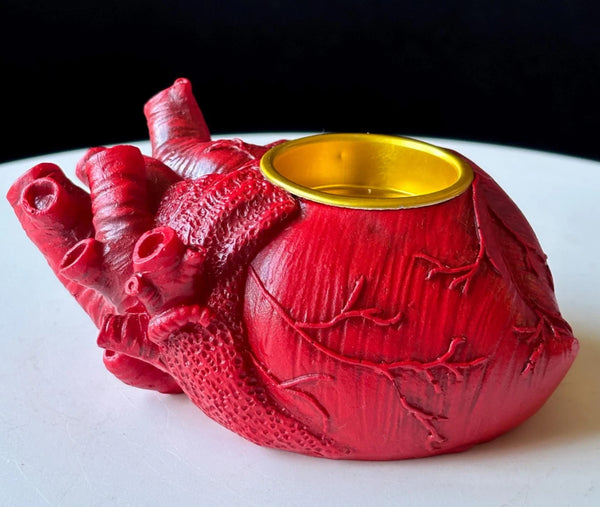 anatomical heart Silicone Mold – For Candle, Resin, Plaster, Soap
